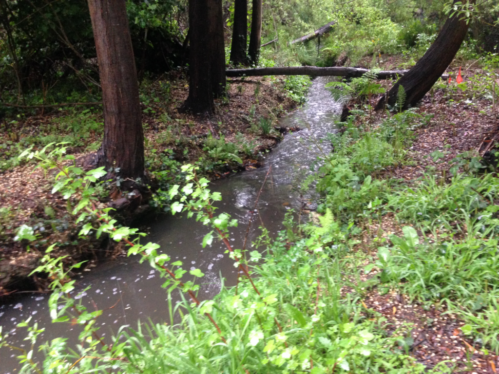 Willow Creek - Sausalito, CA